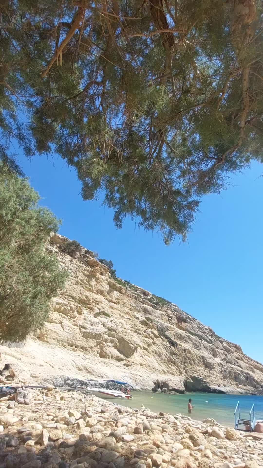 @Artemis_nature