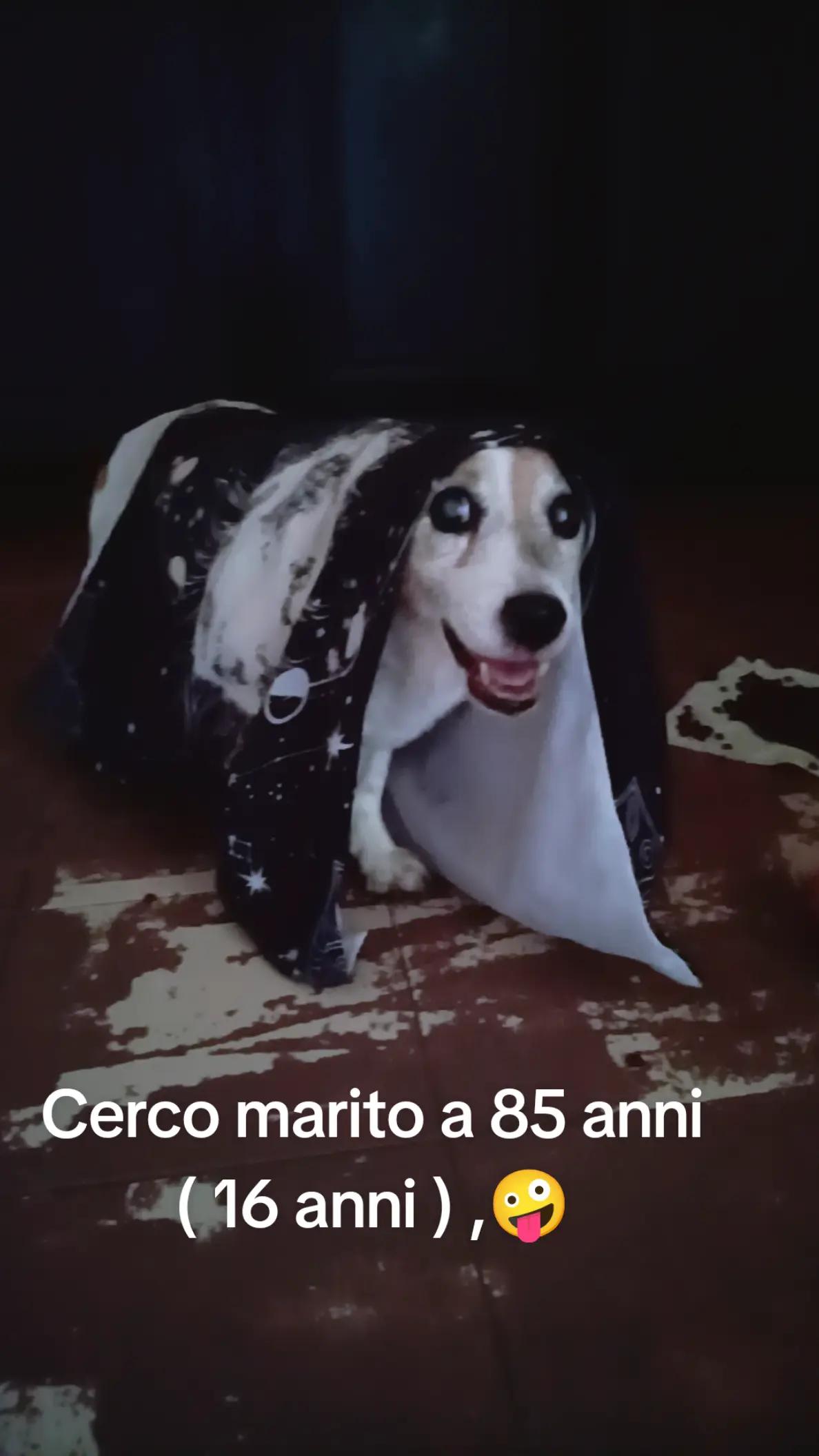 @Salvopersonaltrainer76