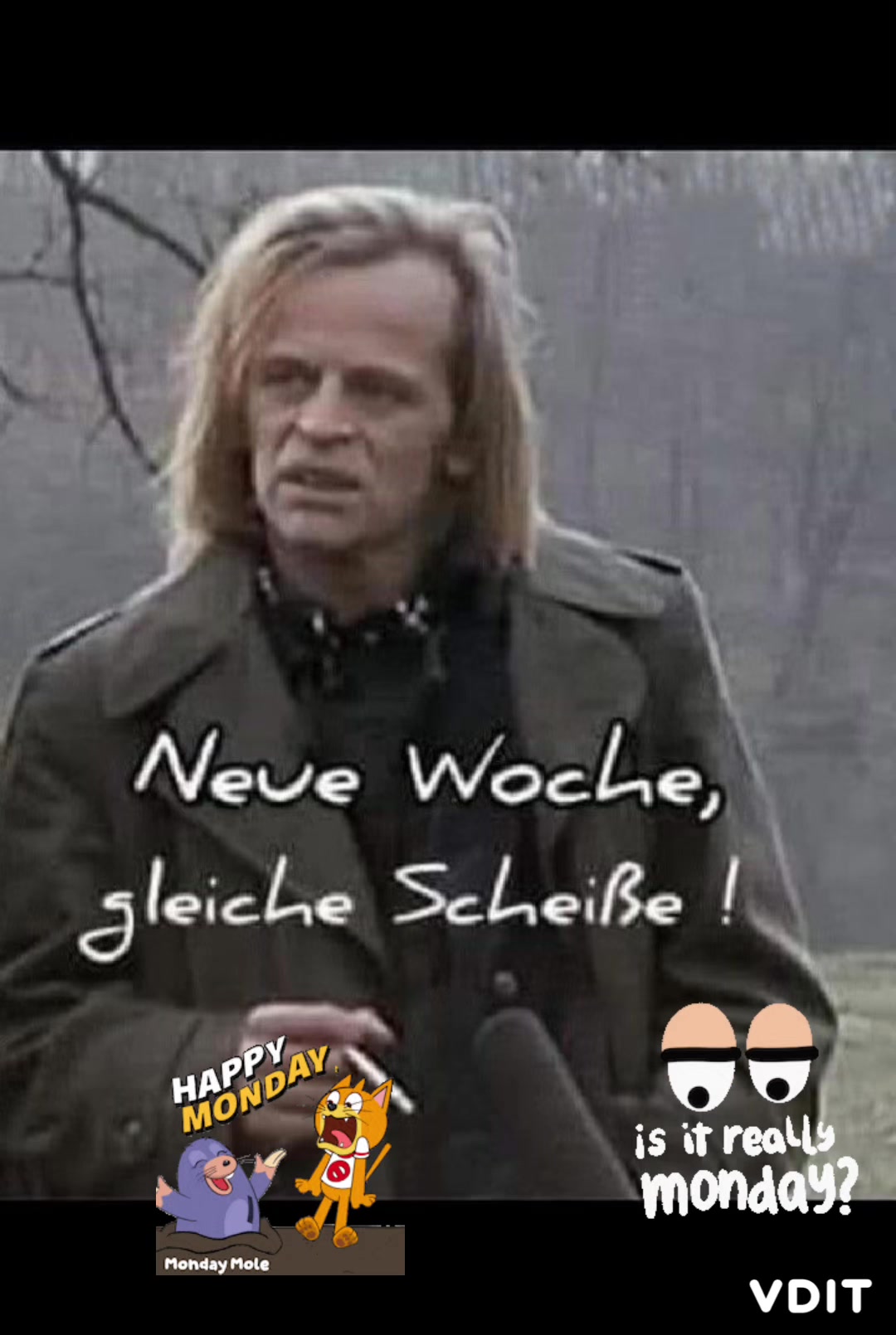 @einfach_remo