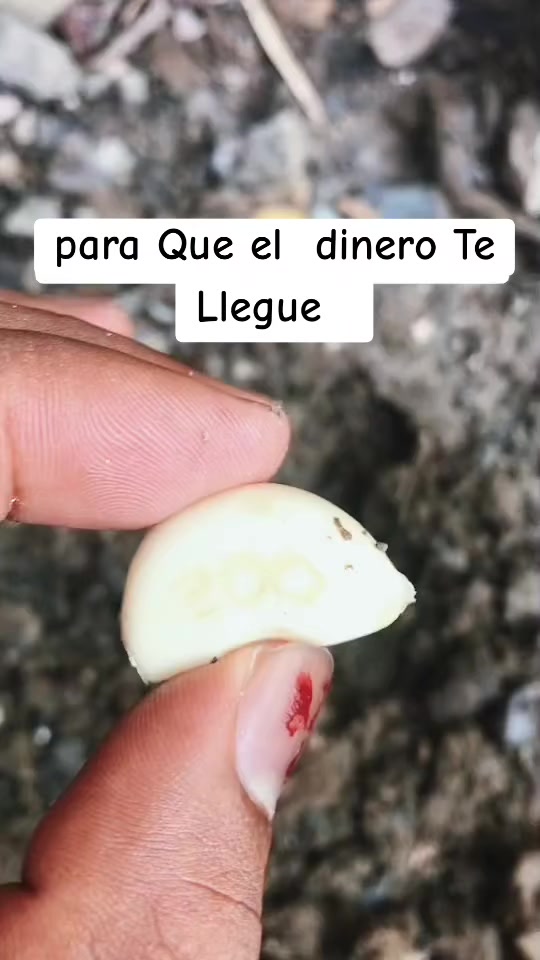 @yanclo misilie
