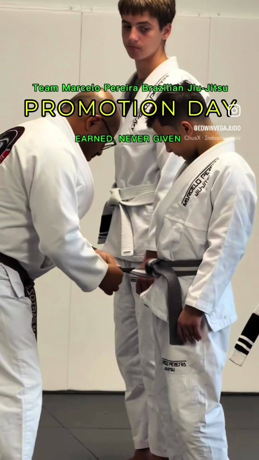 @Vega 🥋