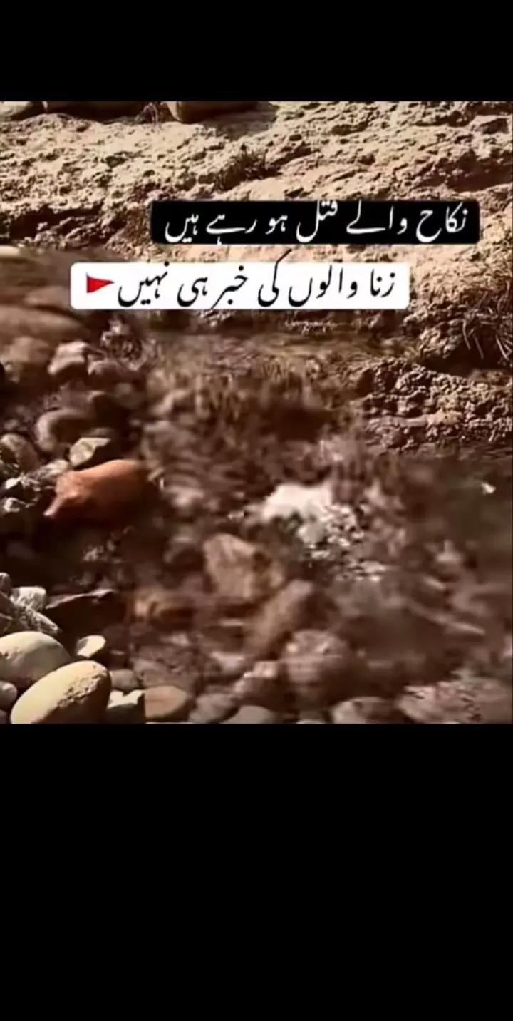 @Bilal. Ahmad