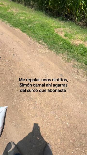 @el_menor_04