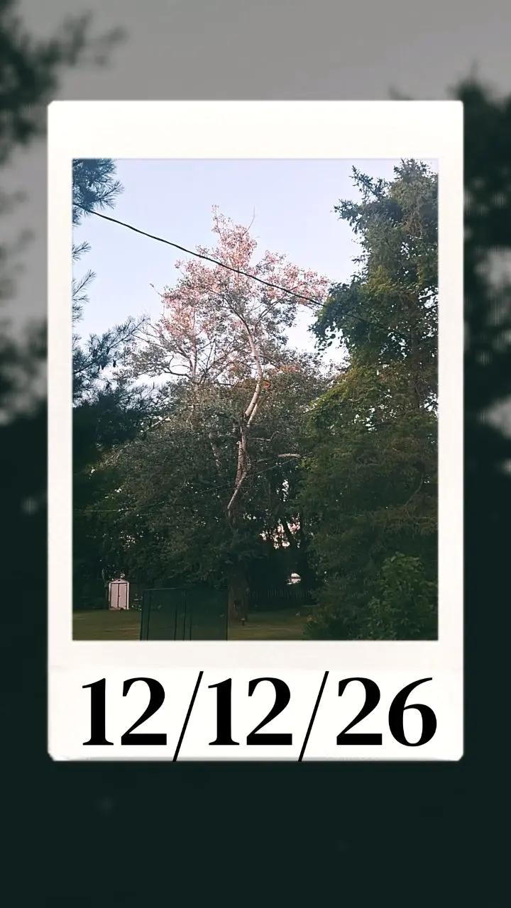 @itz.ty