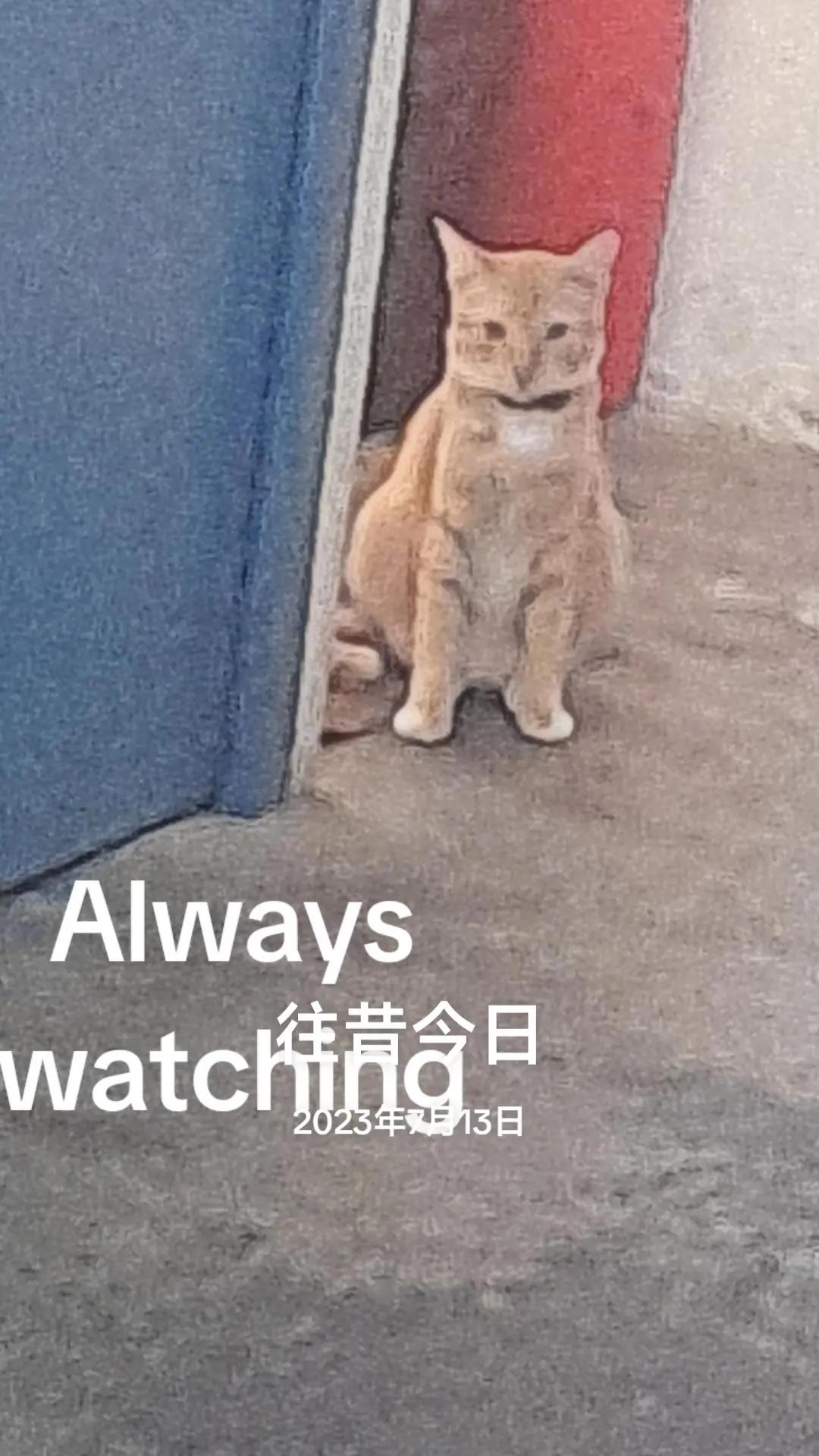 @一郎