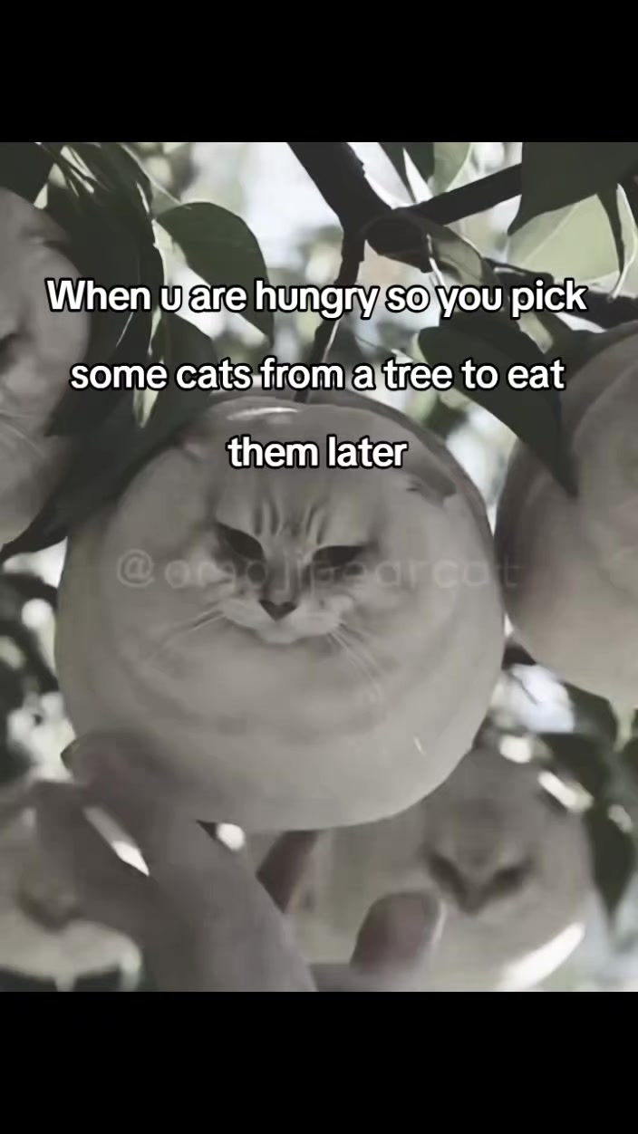 @KickBroke