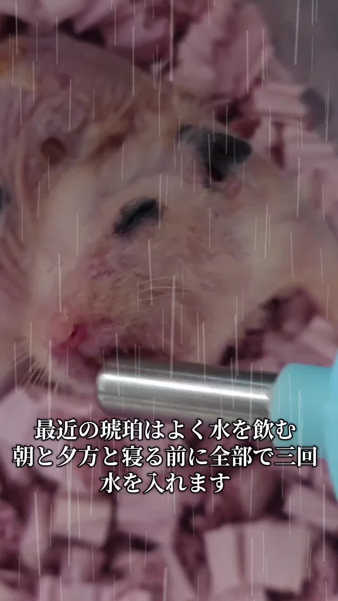 @ジン
