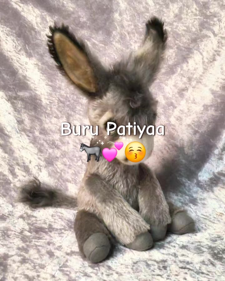 @_vo__na_