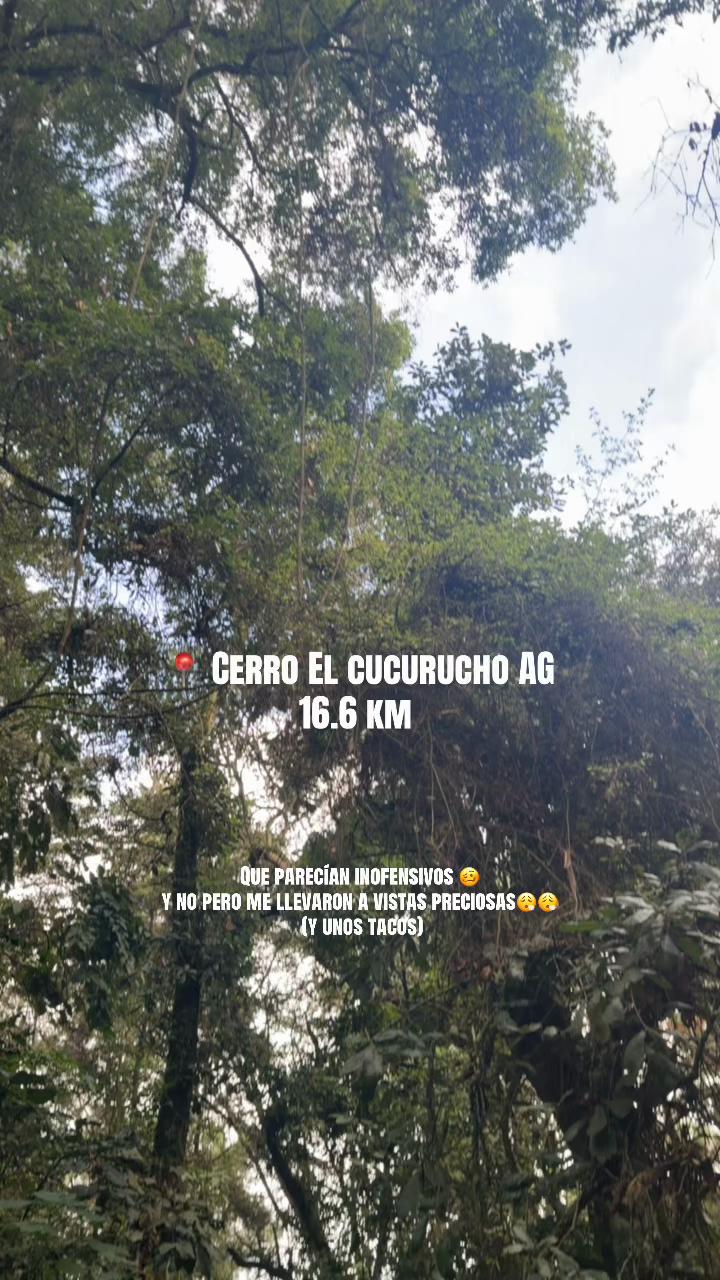 @Abril Kaehler