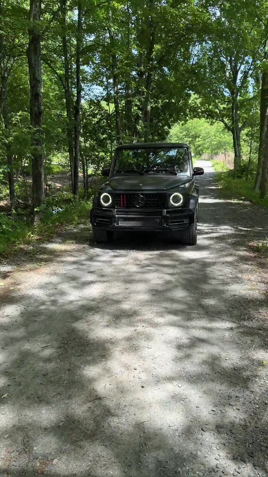 @Champexotics