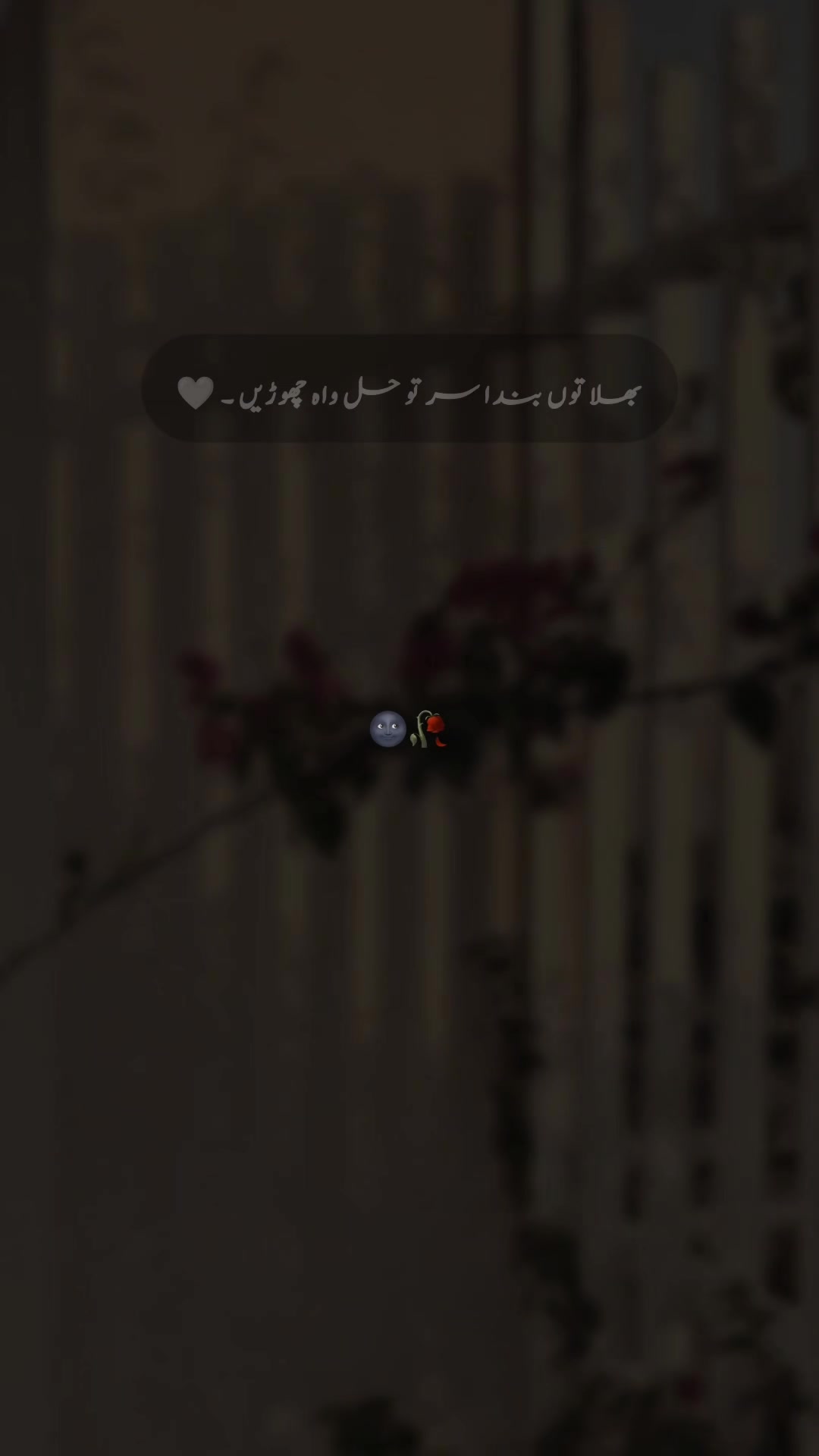 @๐ ๐ ๐ ๐ข ๐๐ซ