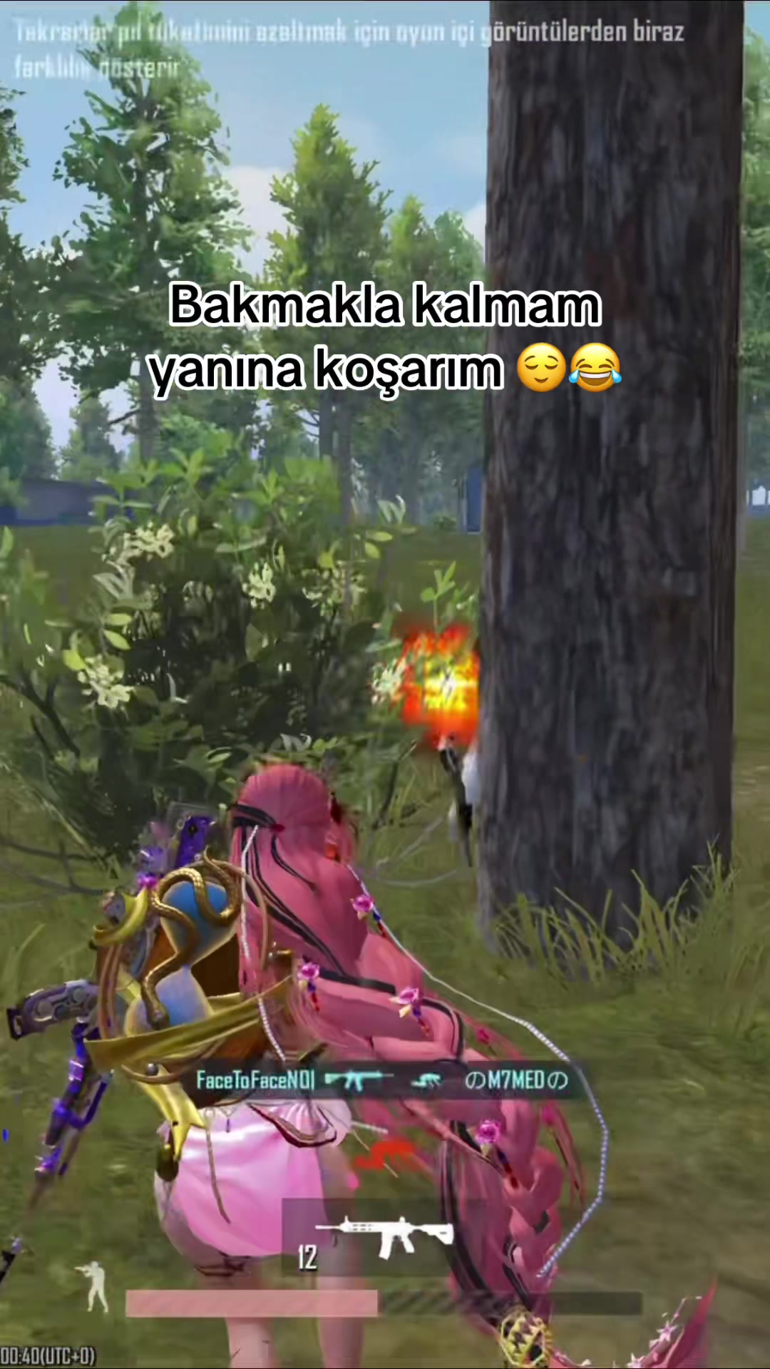 @&Ccedil;iPiL