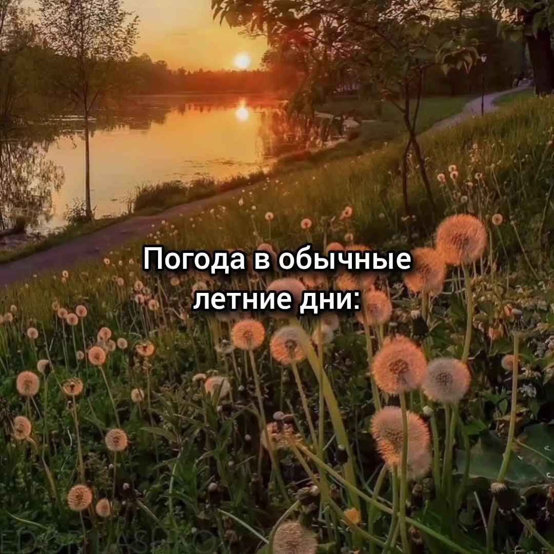 @Котяра в стране Евро-чудес