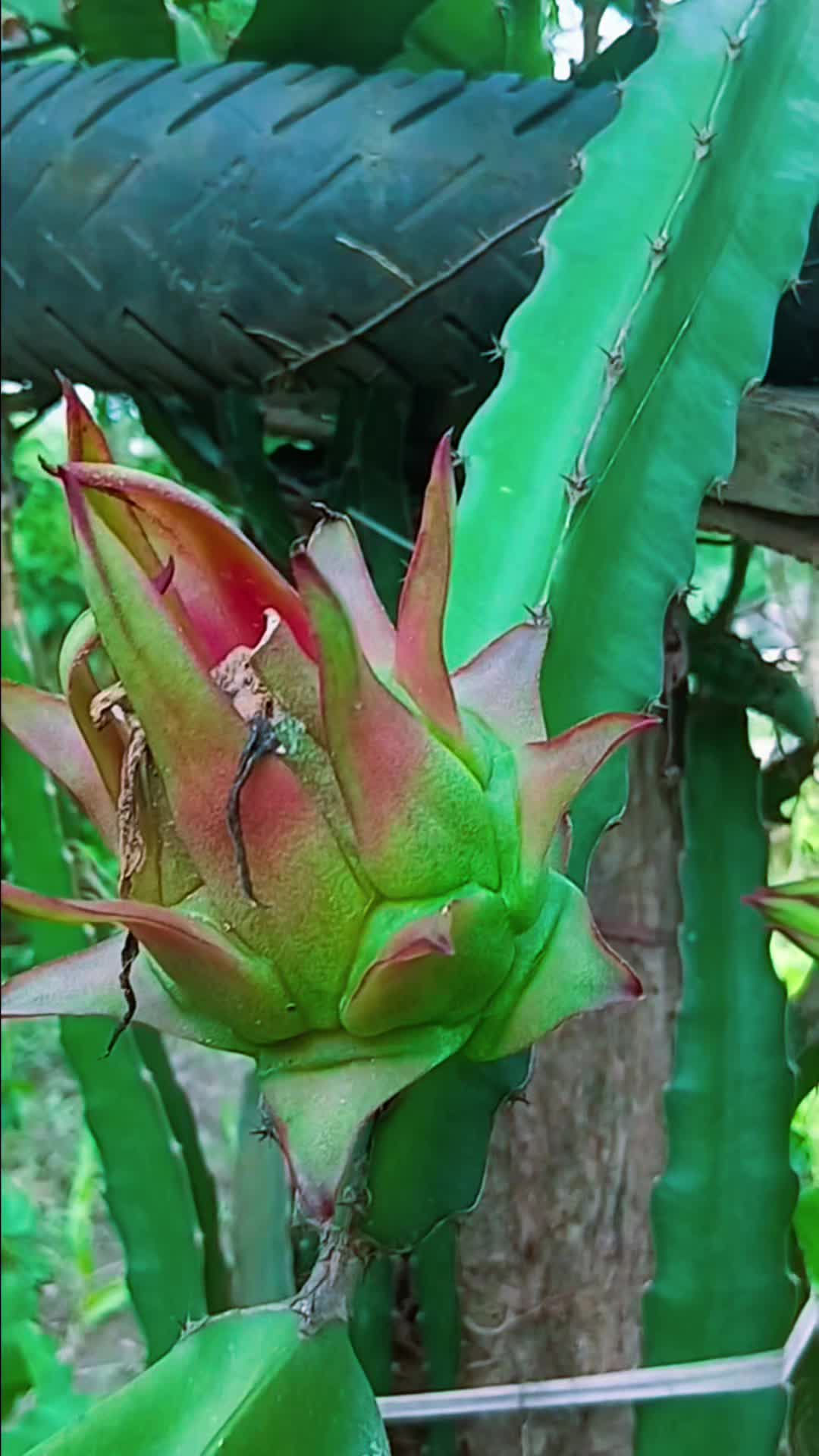 @Bhakta Rauteda