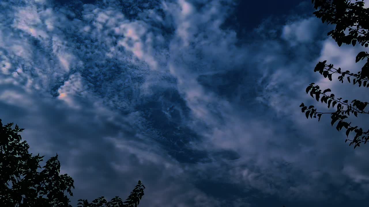 @(لونگین بابک)