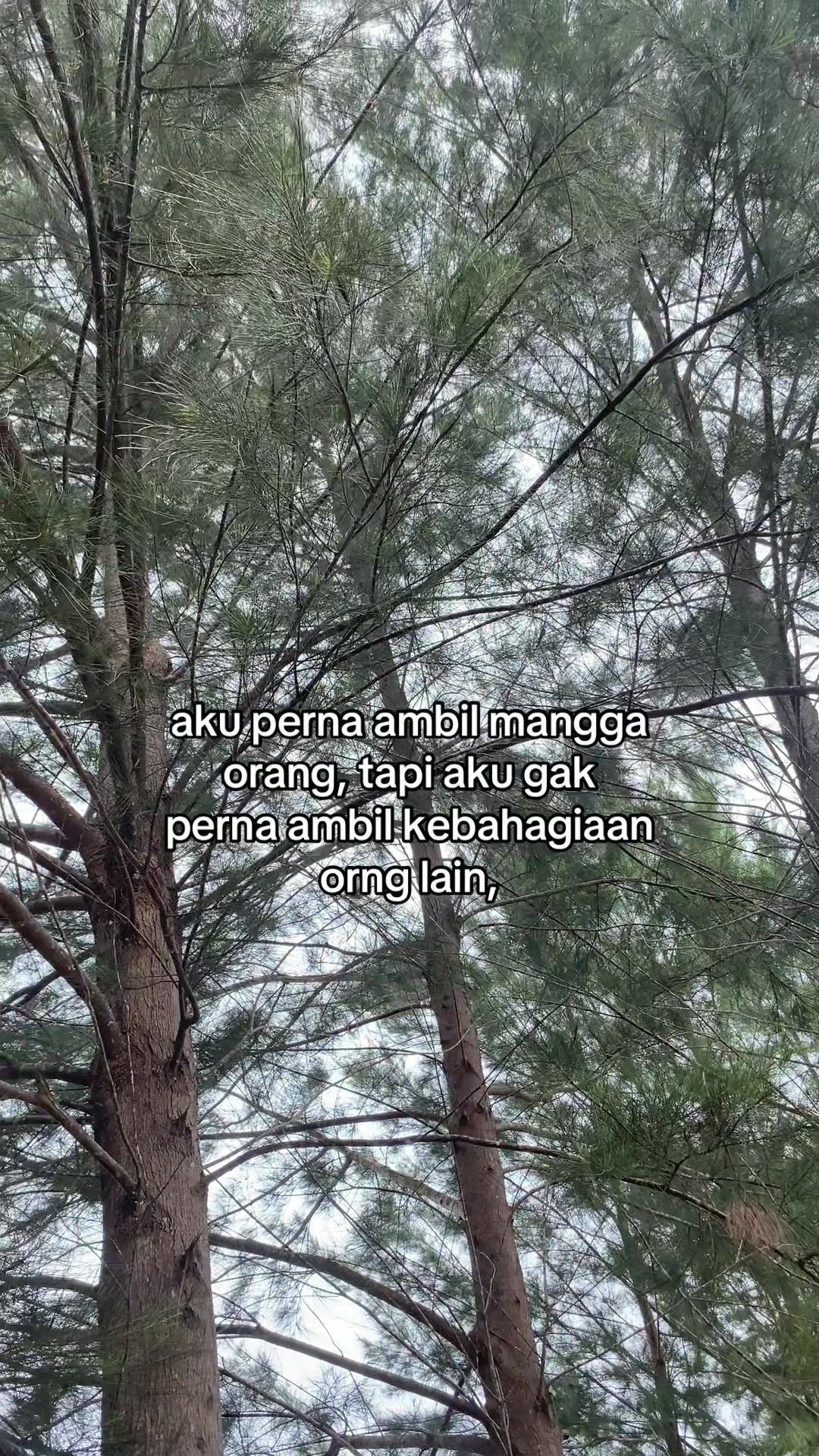 @𝓲𝓬𝓪𝓶