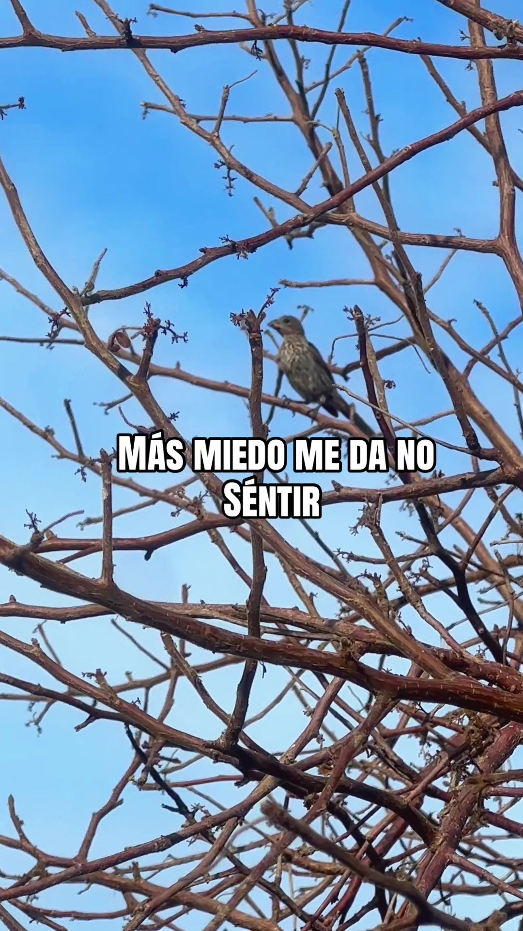 @leonroman18