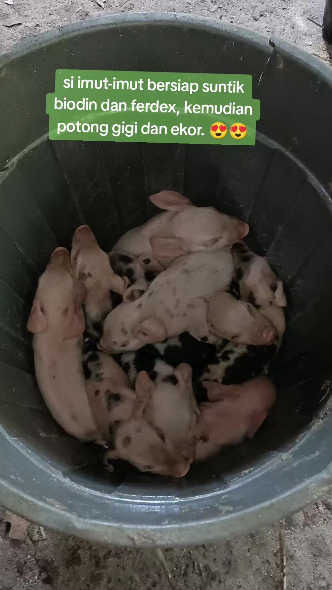 @mama Brigita