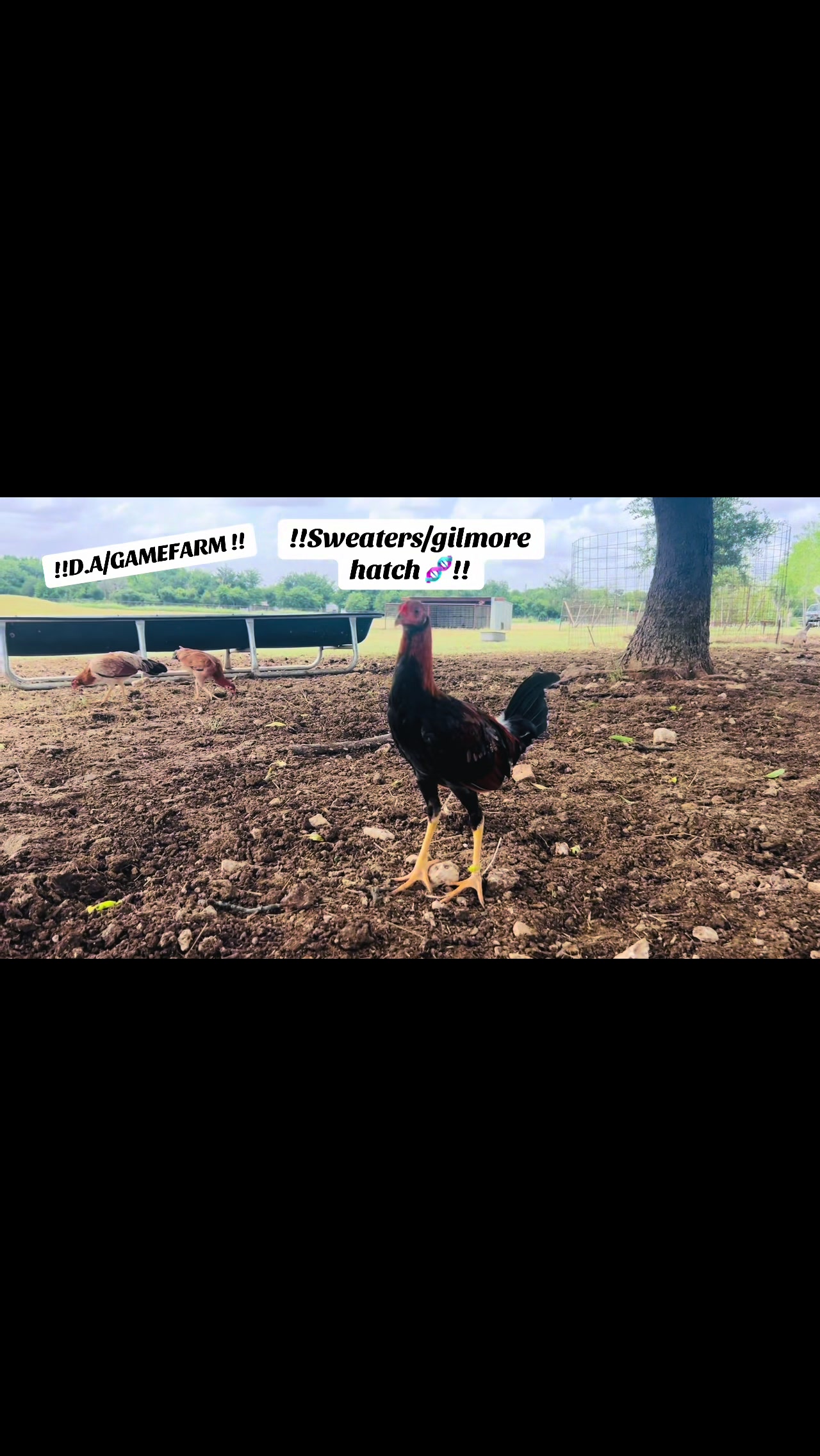 @DAgamefarm