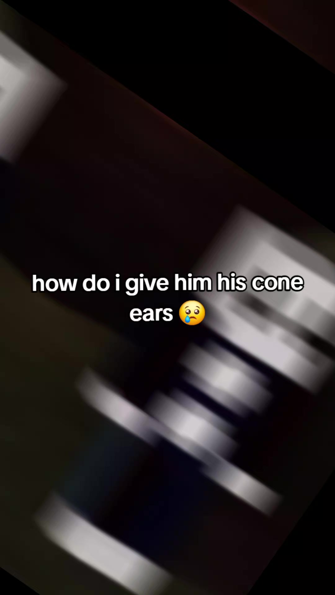 @violet