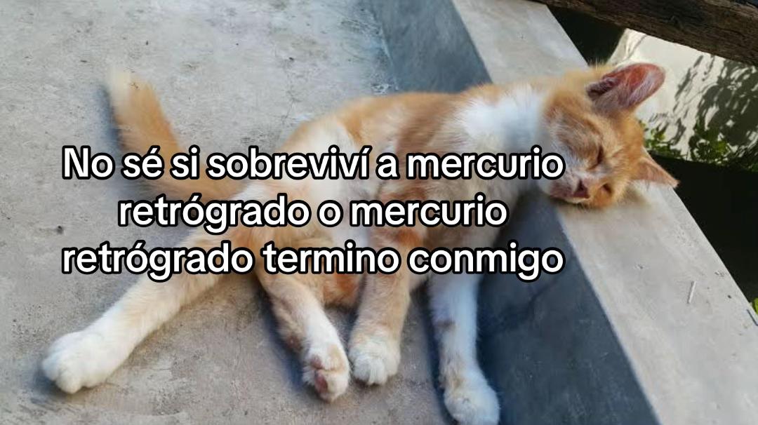@Irina Gray💖✨