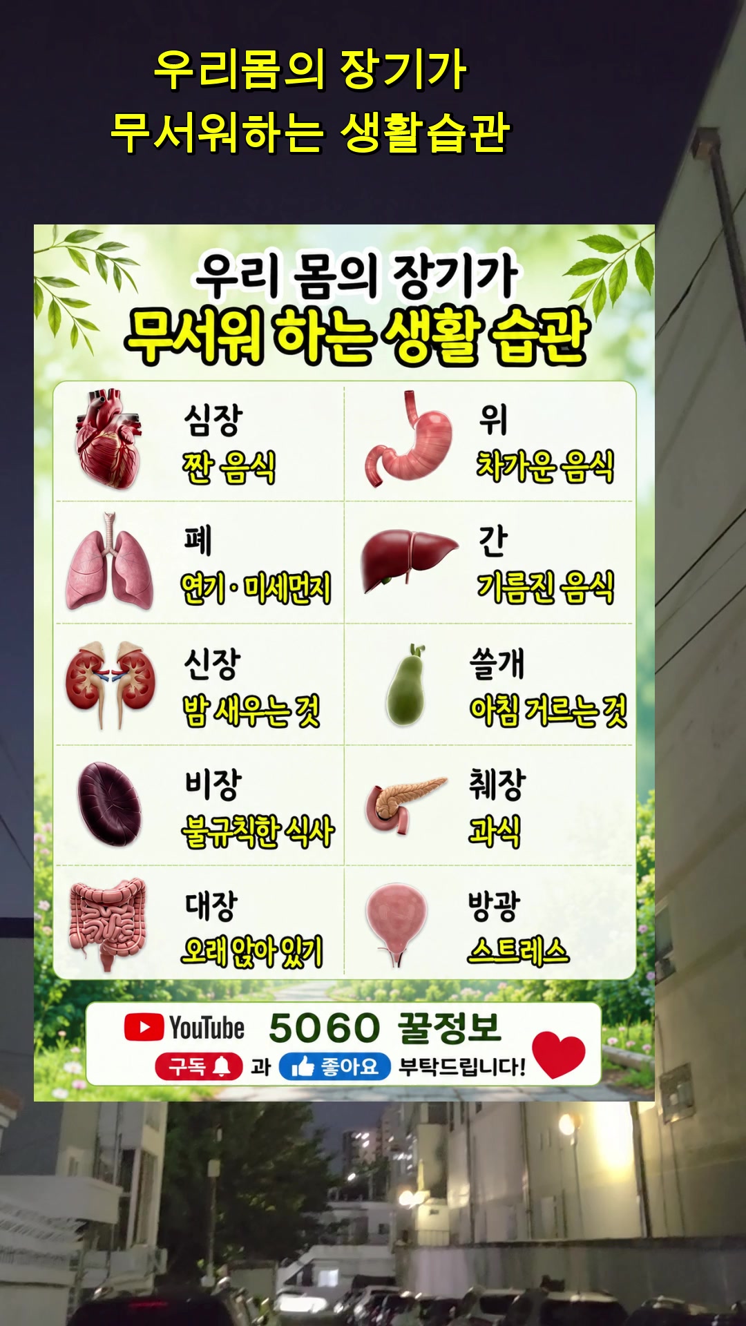 @5060 꿀건강