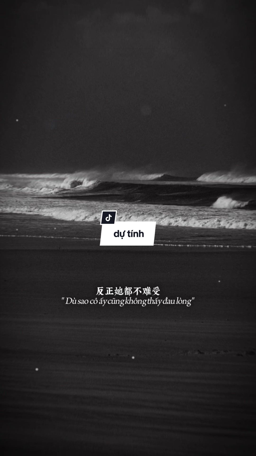 @C&oacute; giấy khen nghiện capcut
