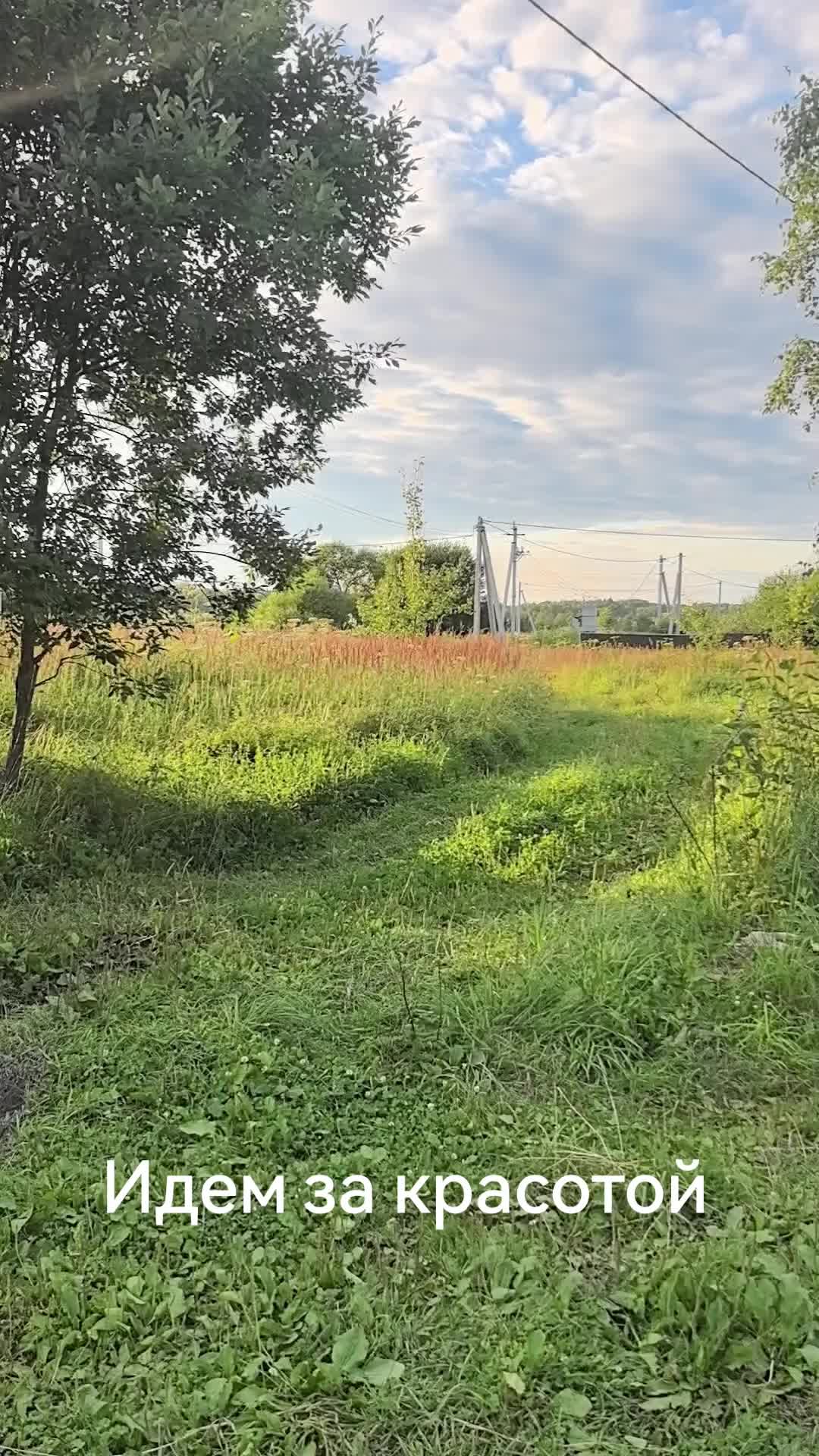 @Жулик на даче