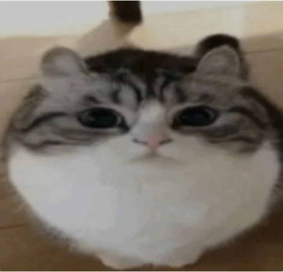 @rubyy