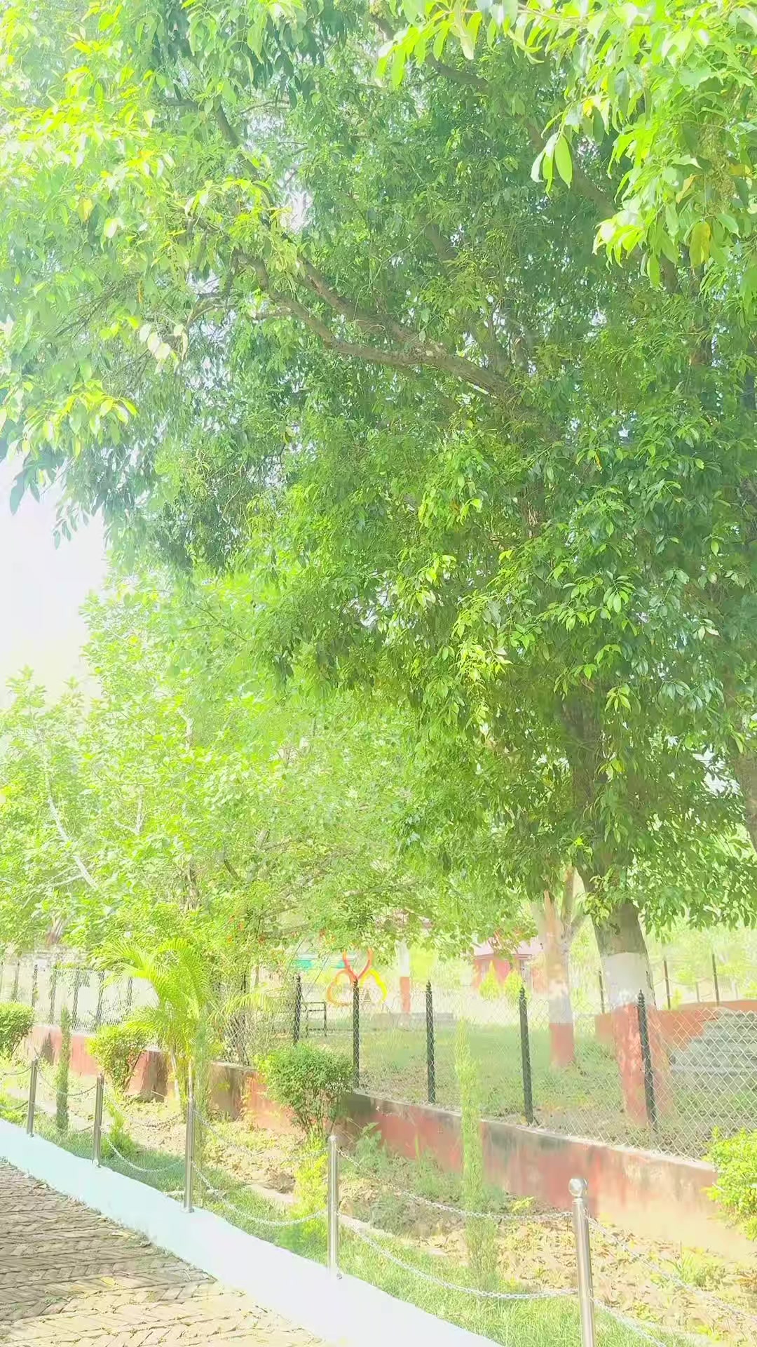 @Keshab Karki