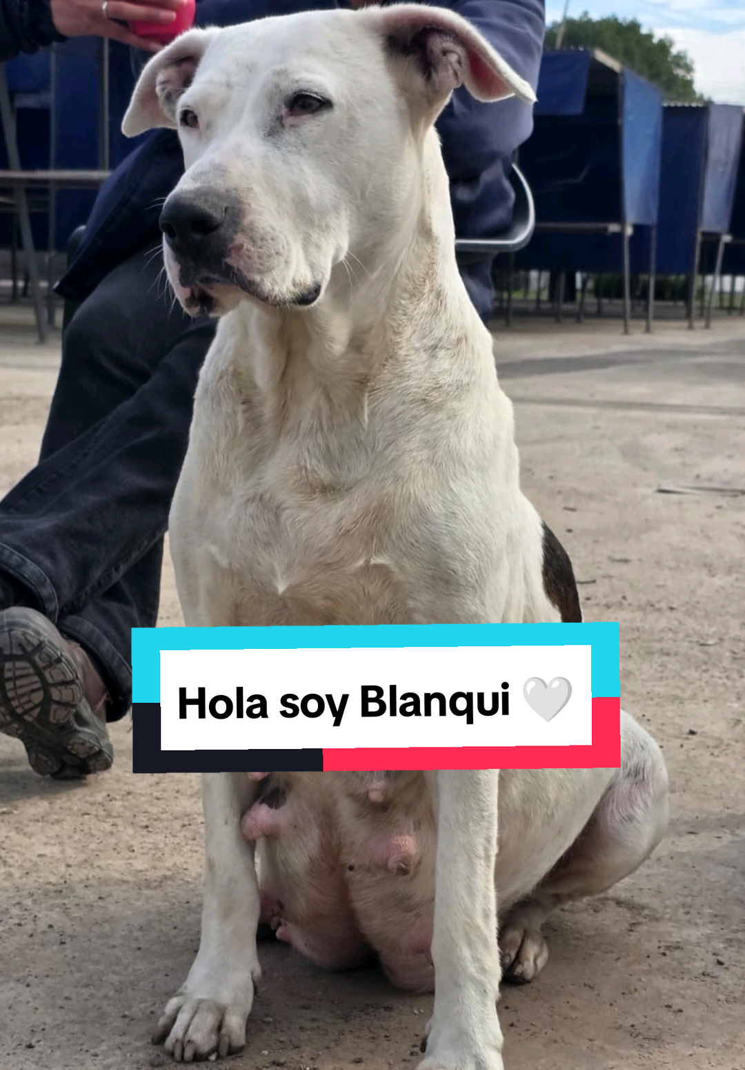 @Barbii Bayón