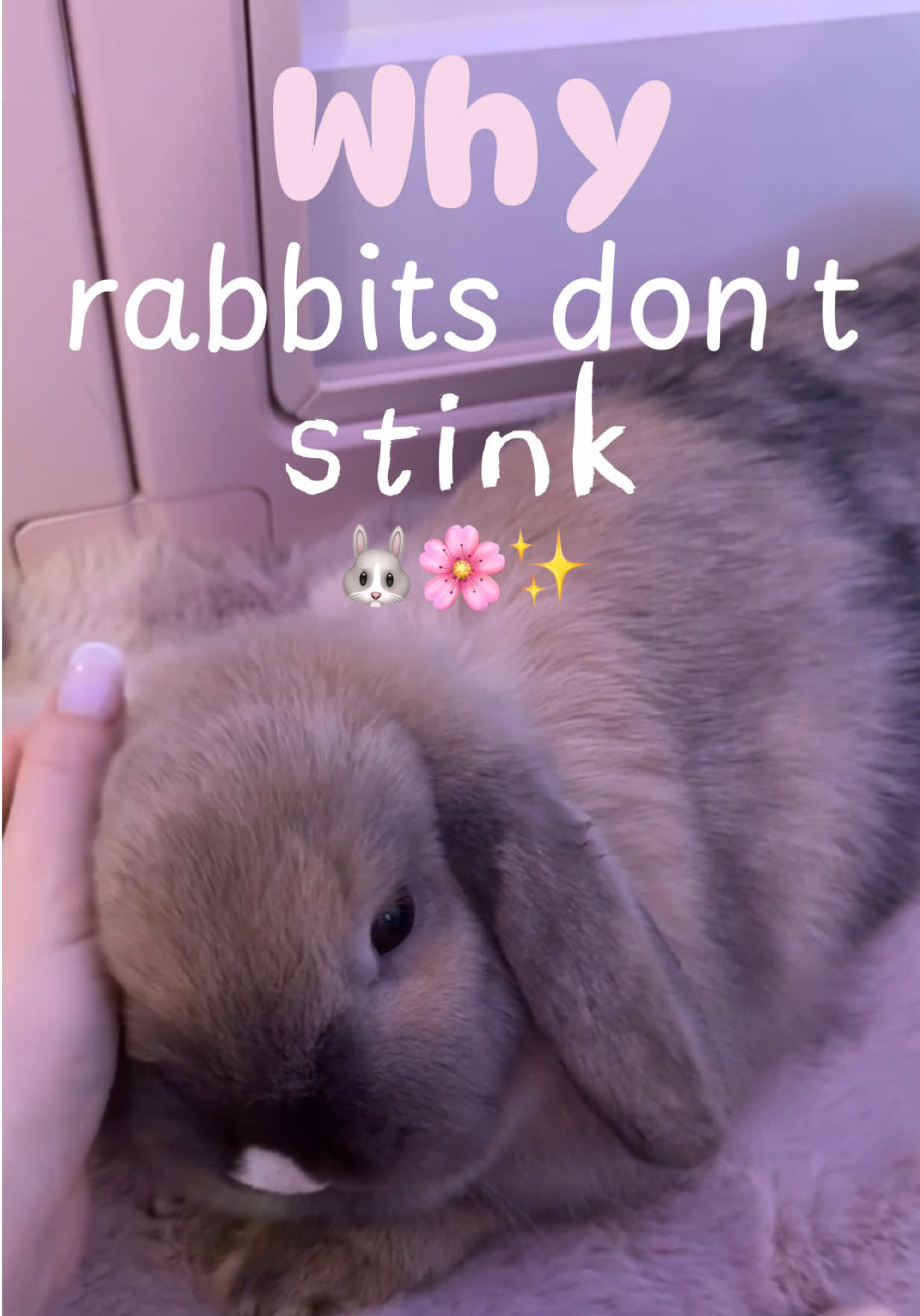 @๐ขึดเป๐อึ ๐๐๐๐๐๐ ๐๐๐๐