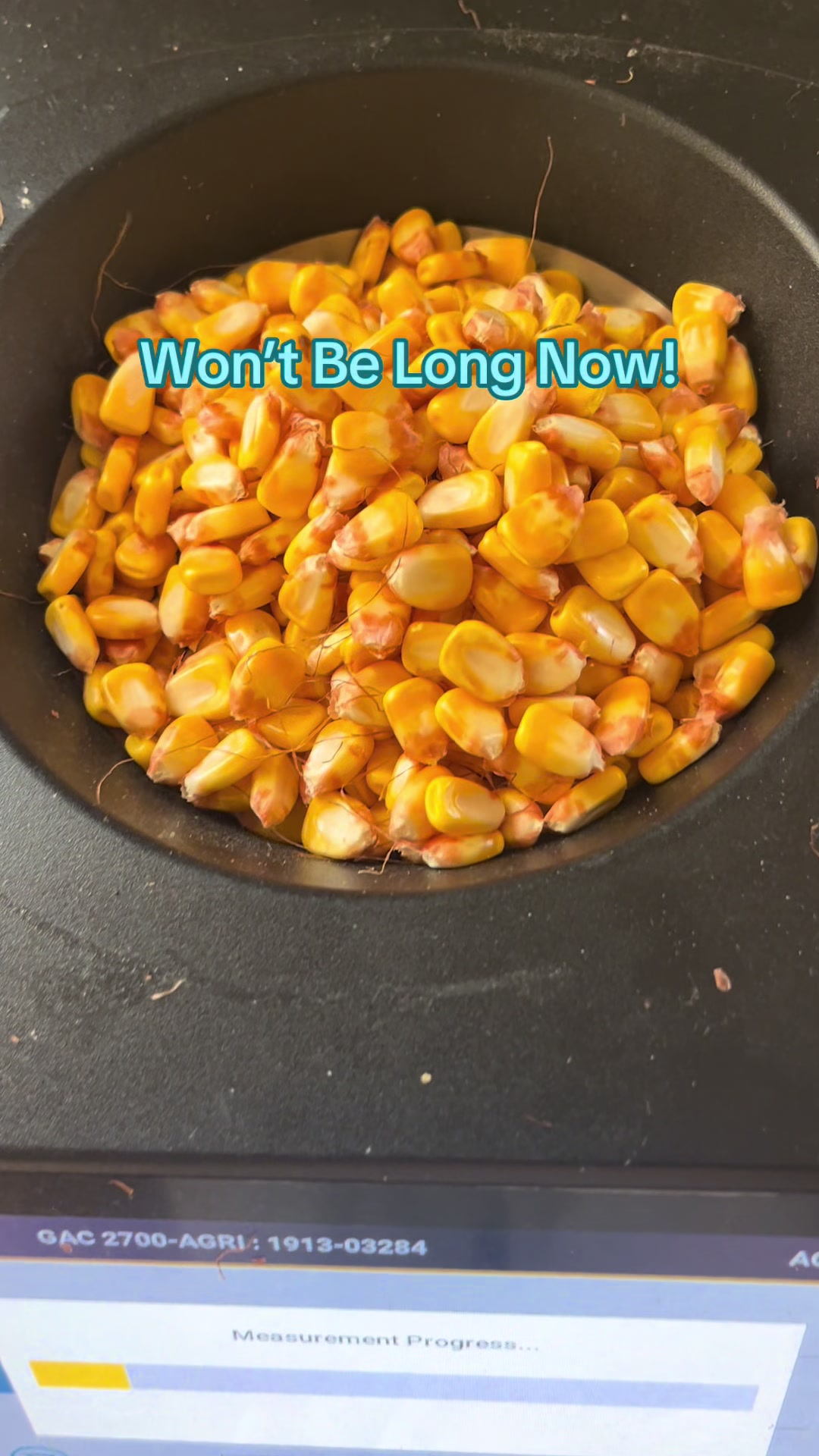 @hookfamilyfarms