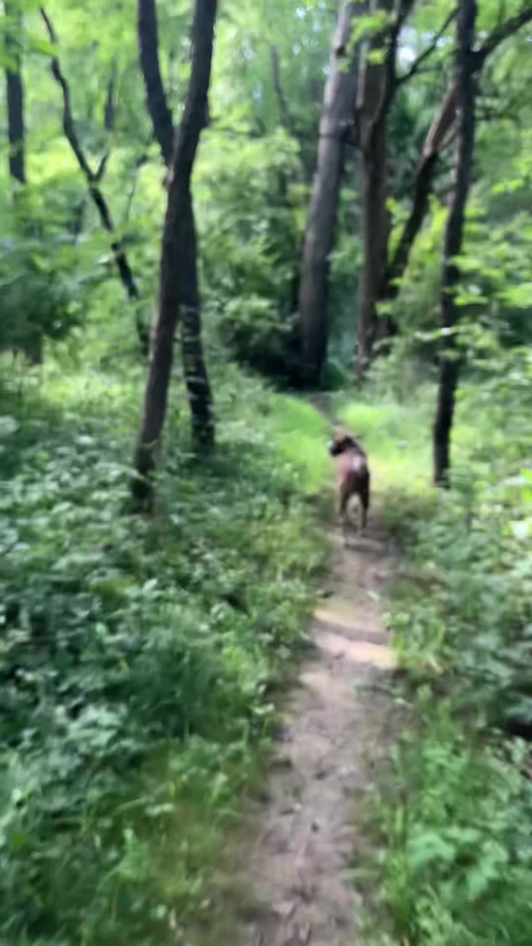 @Hikingwithstanley