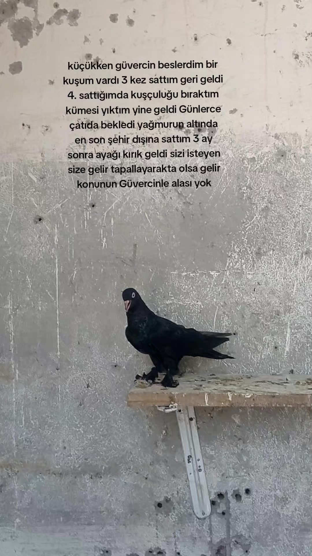@deniz kayıkcı 73