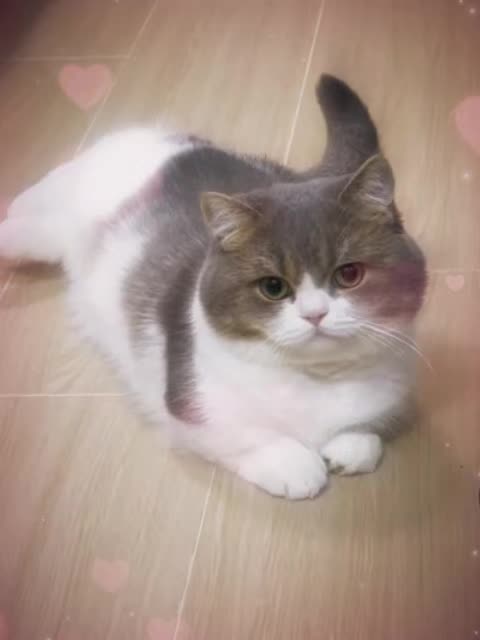 @VyyPilgrim72