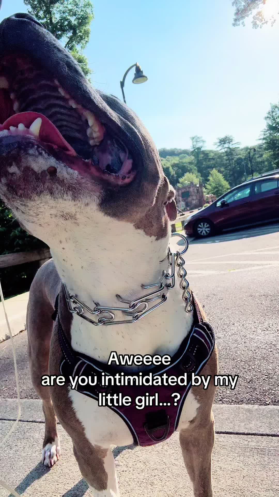 @Jessica