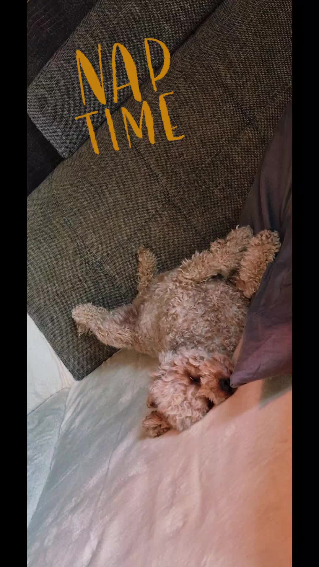 @Teddi