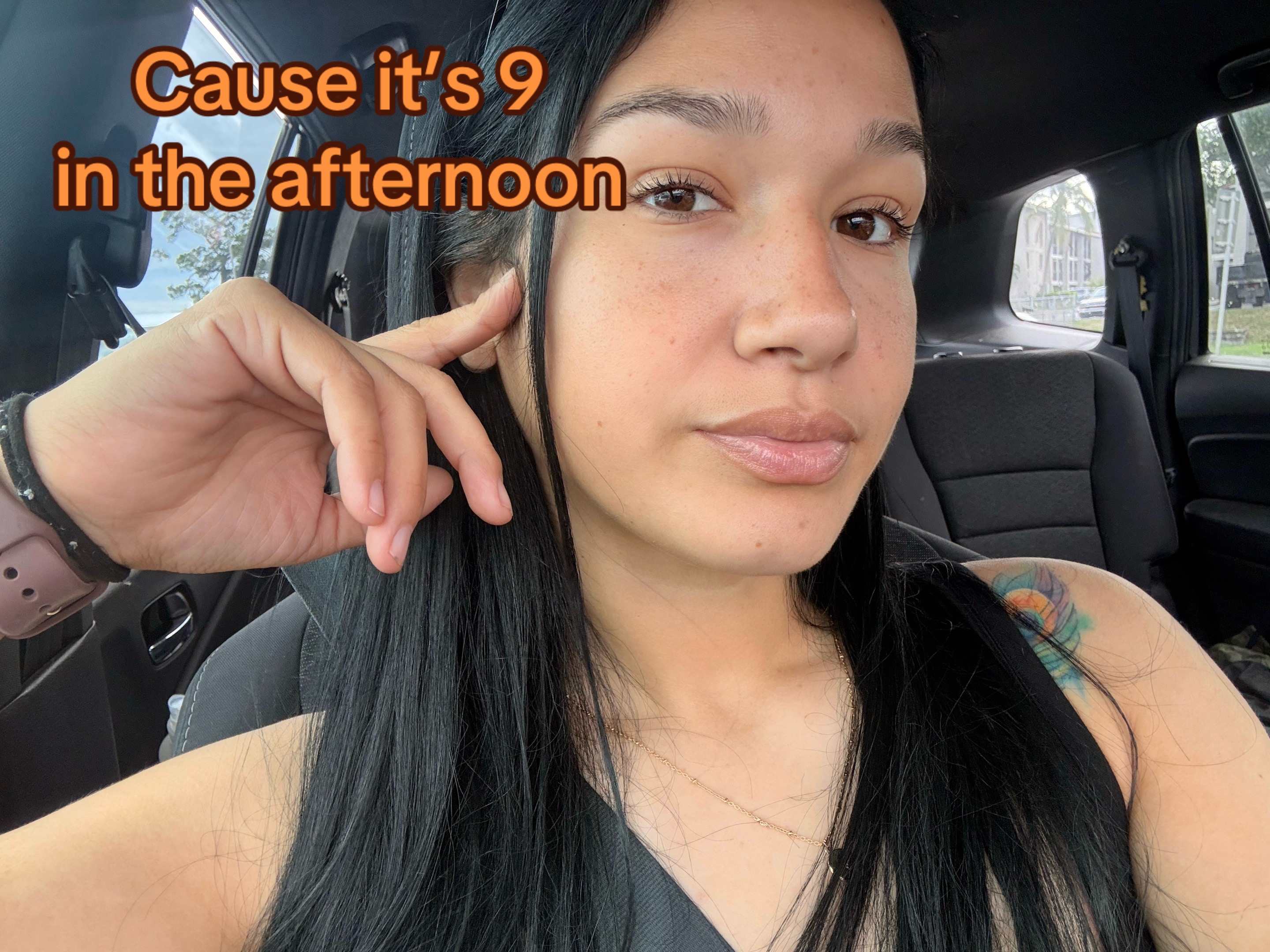 @paradigmkennelsapbts
