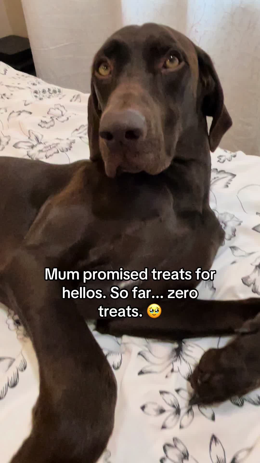 @Rocky_and_mom 🐾❤️🐶