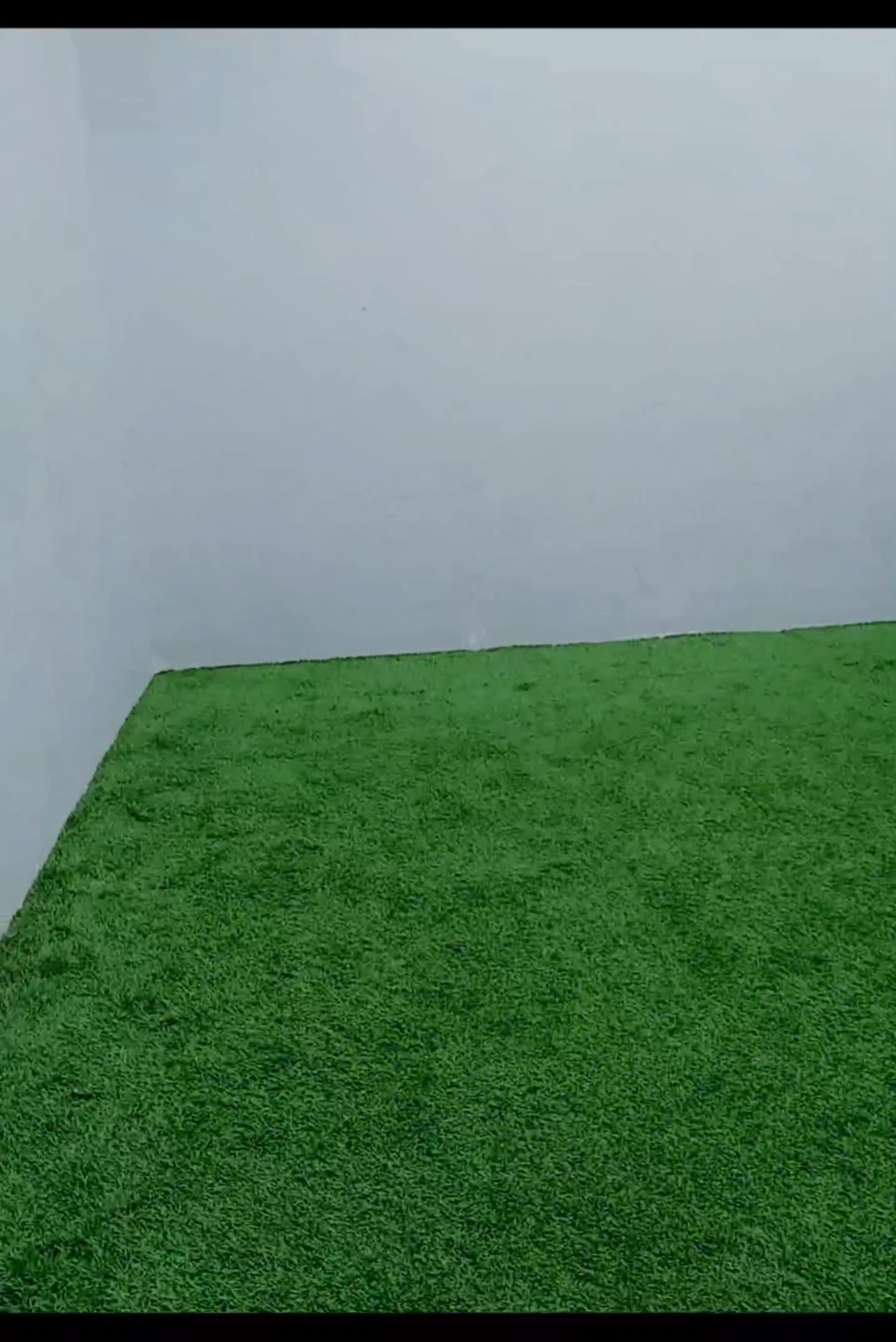 @Thiago.P