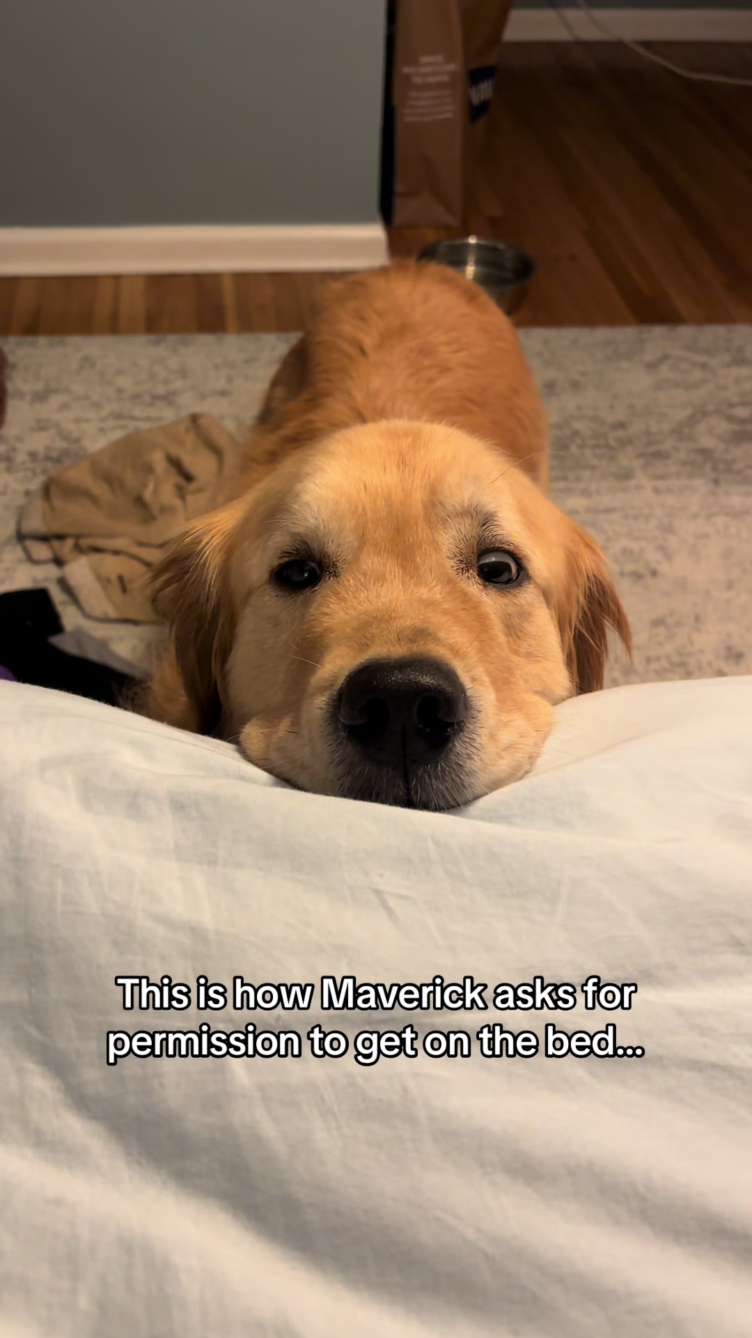 @Maverick