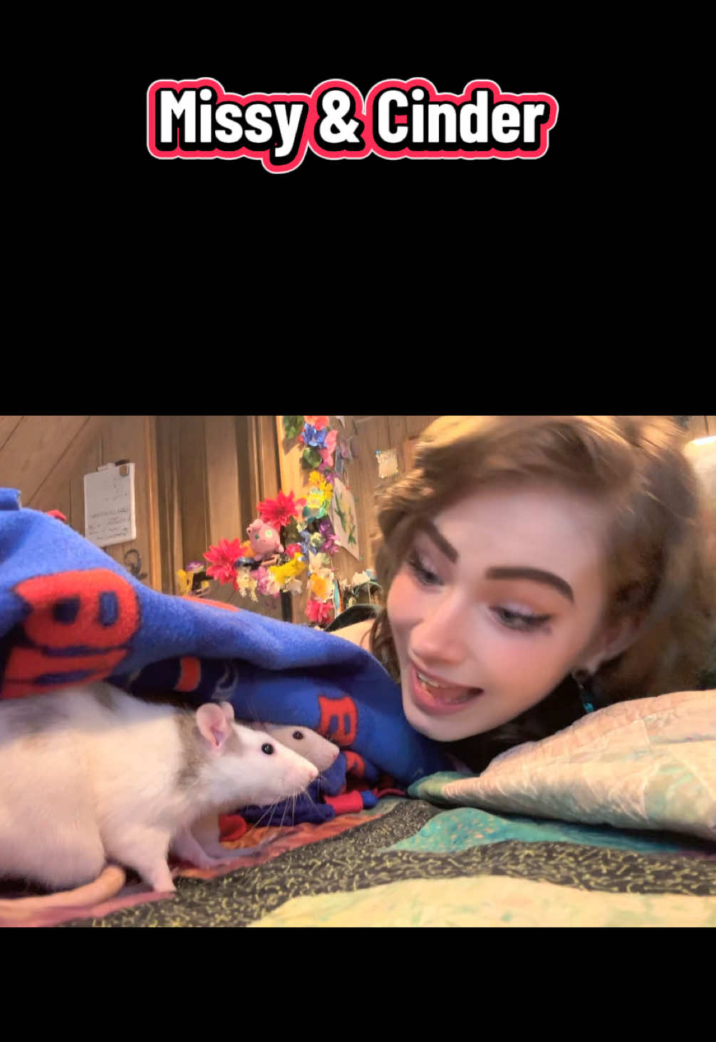 @lookatmyrodents