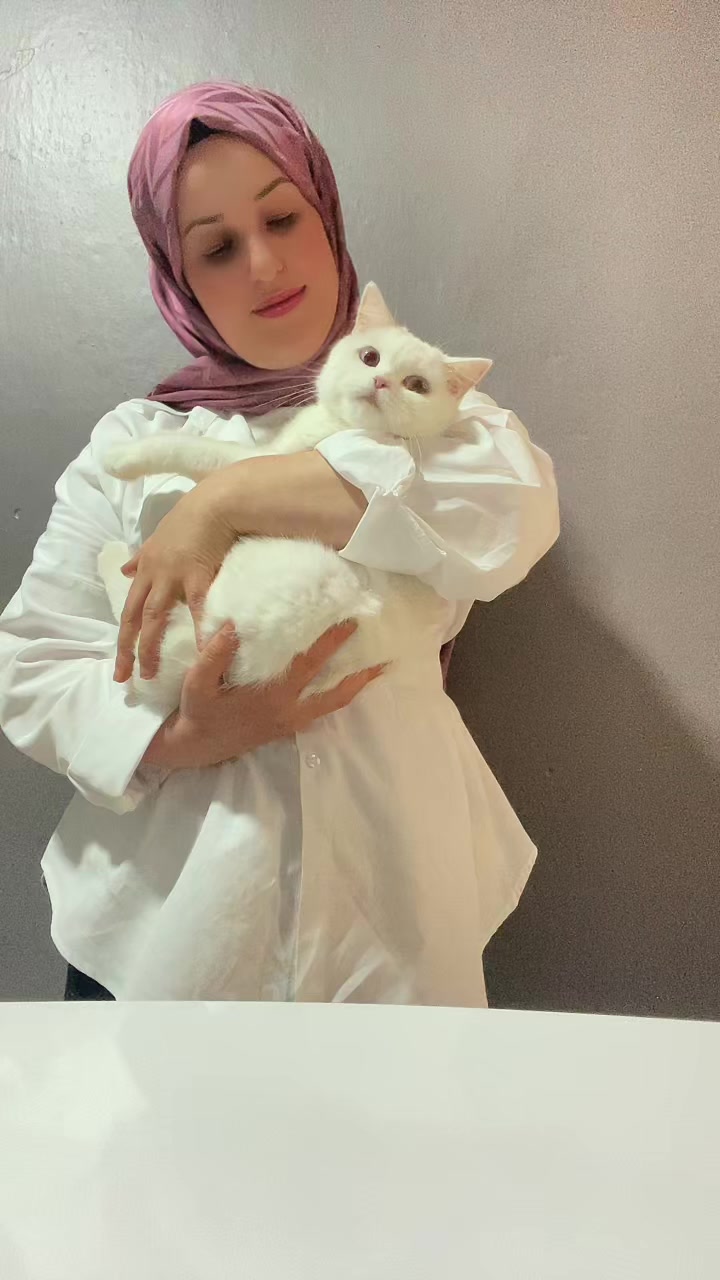 @Mutfakperisi