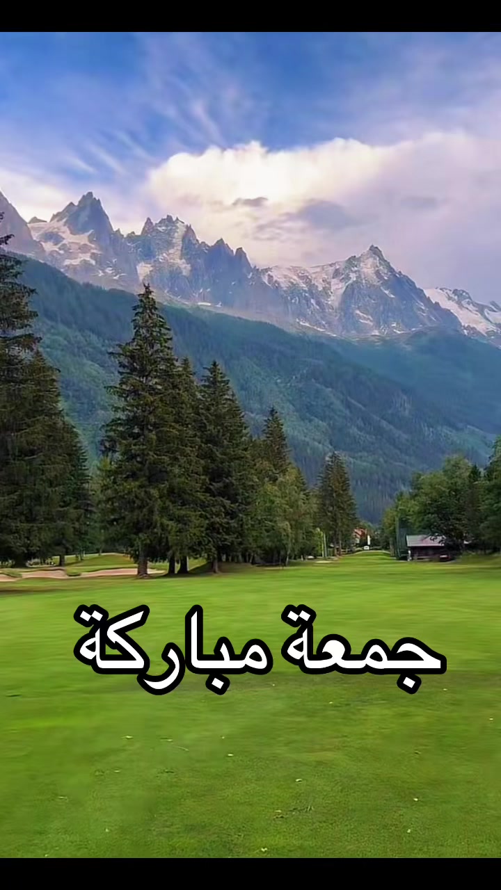 @Omfarouk_7