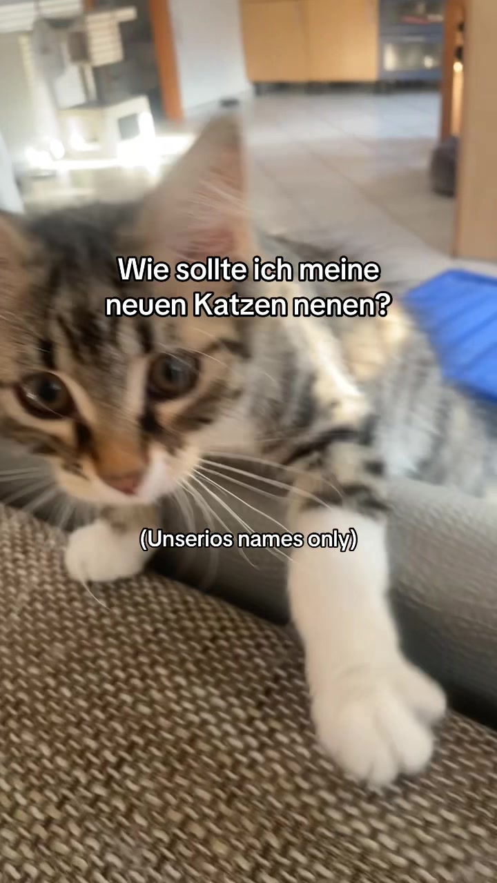 @Niklas