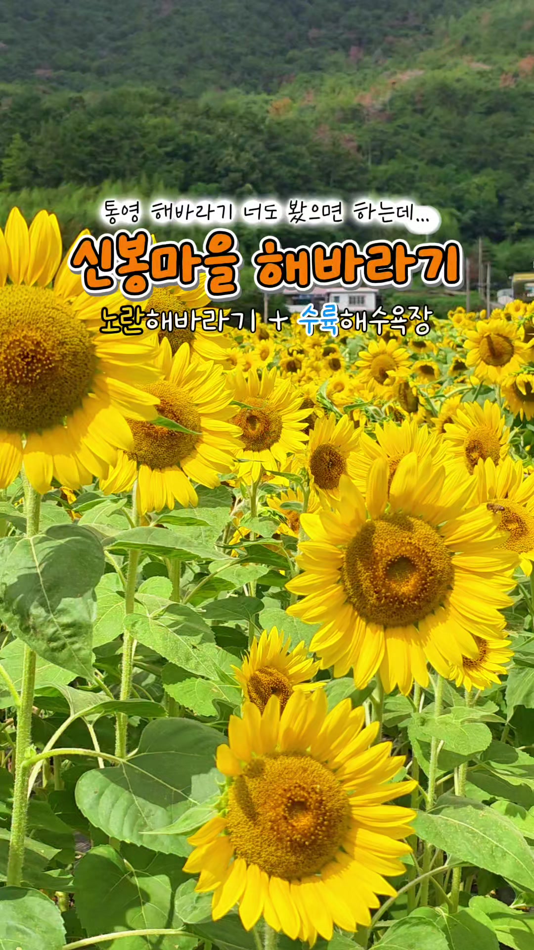 @ON로드 여행기