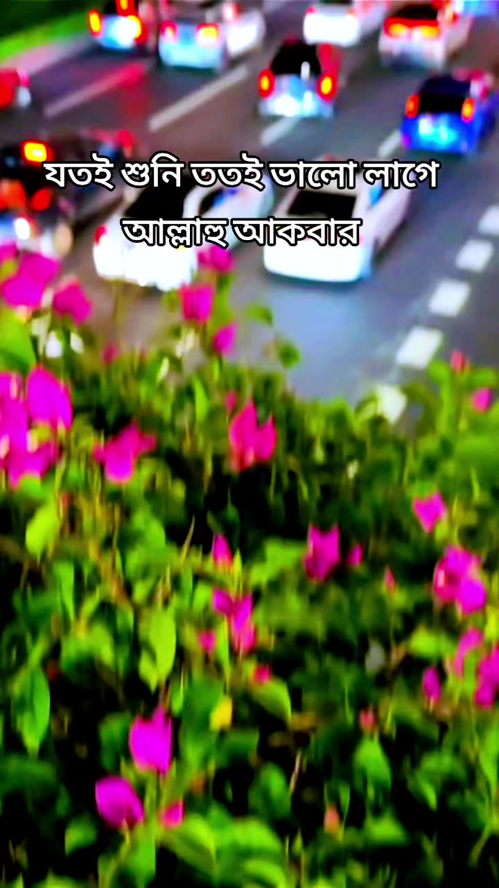@🥀🇧🇩সৌদি আরব প্রবাসী🇸🇦🥀