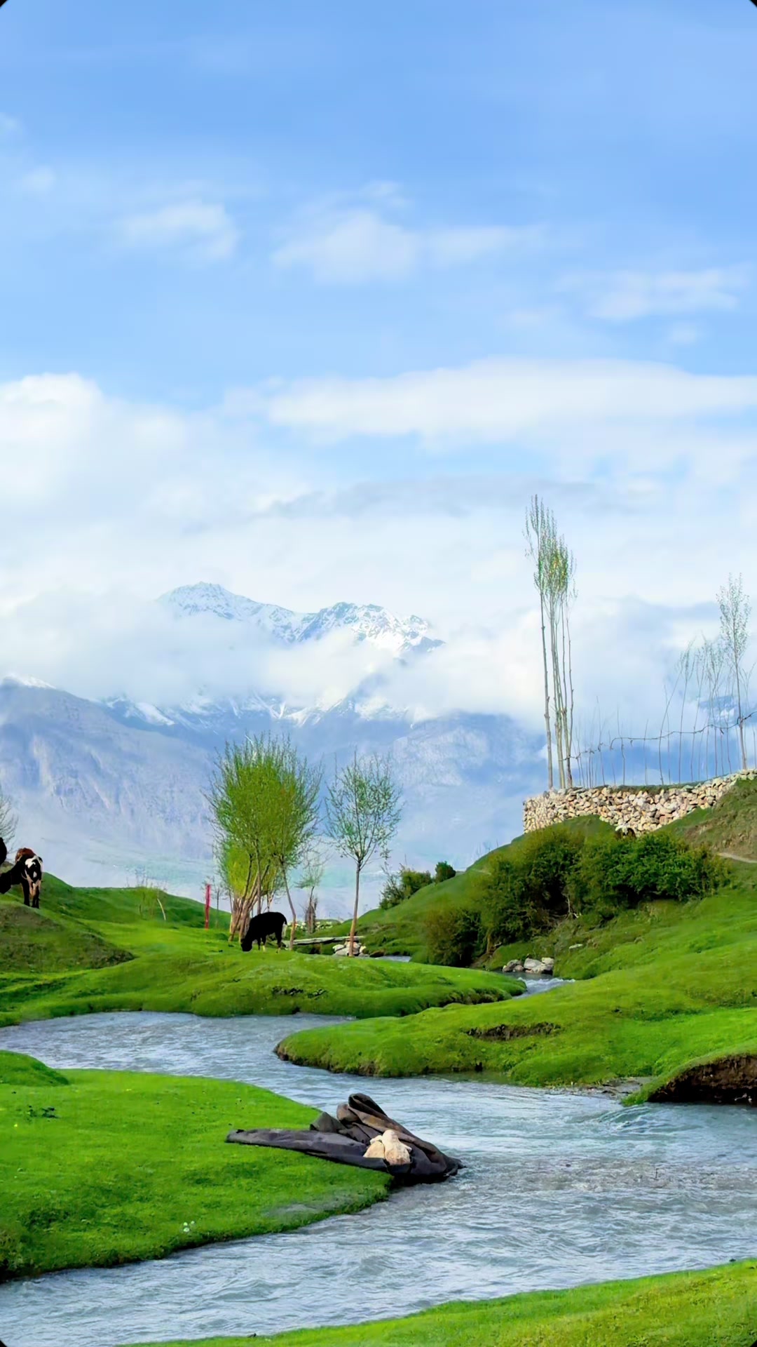 @GB Tours.pk
