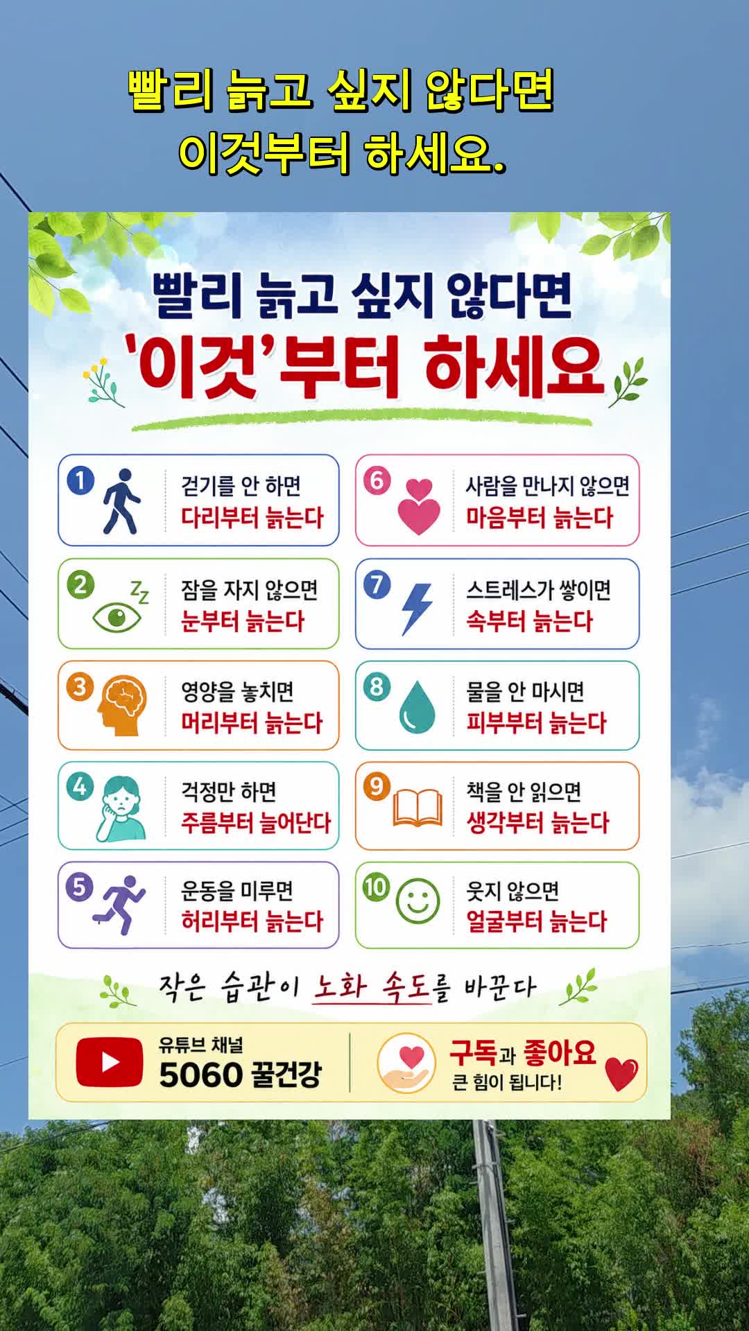 @5060 꿀건강